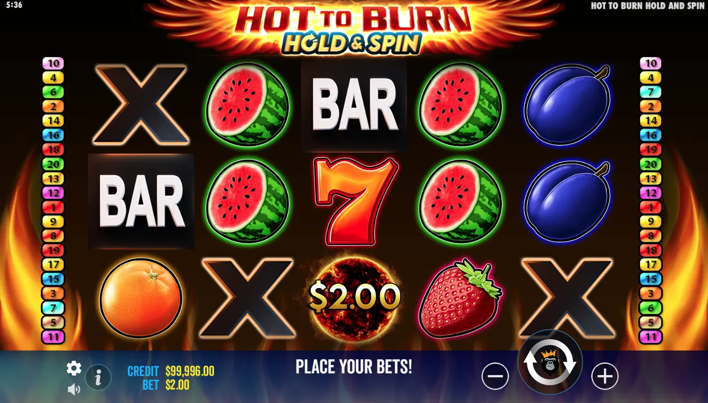 Hot To Burn Hold And Spin Demo Play 