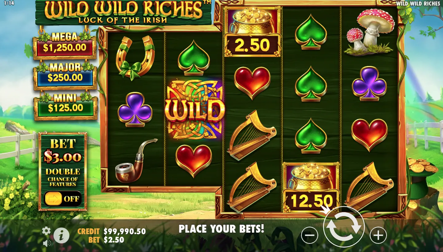 Wild Wild Riches screen 2