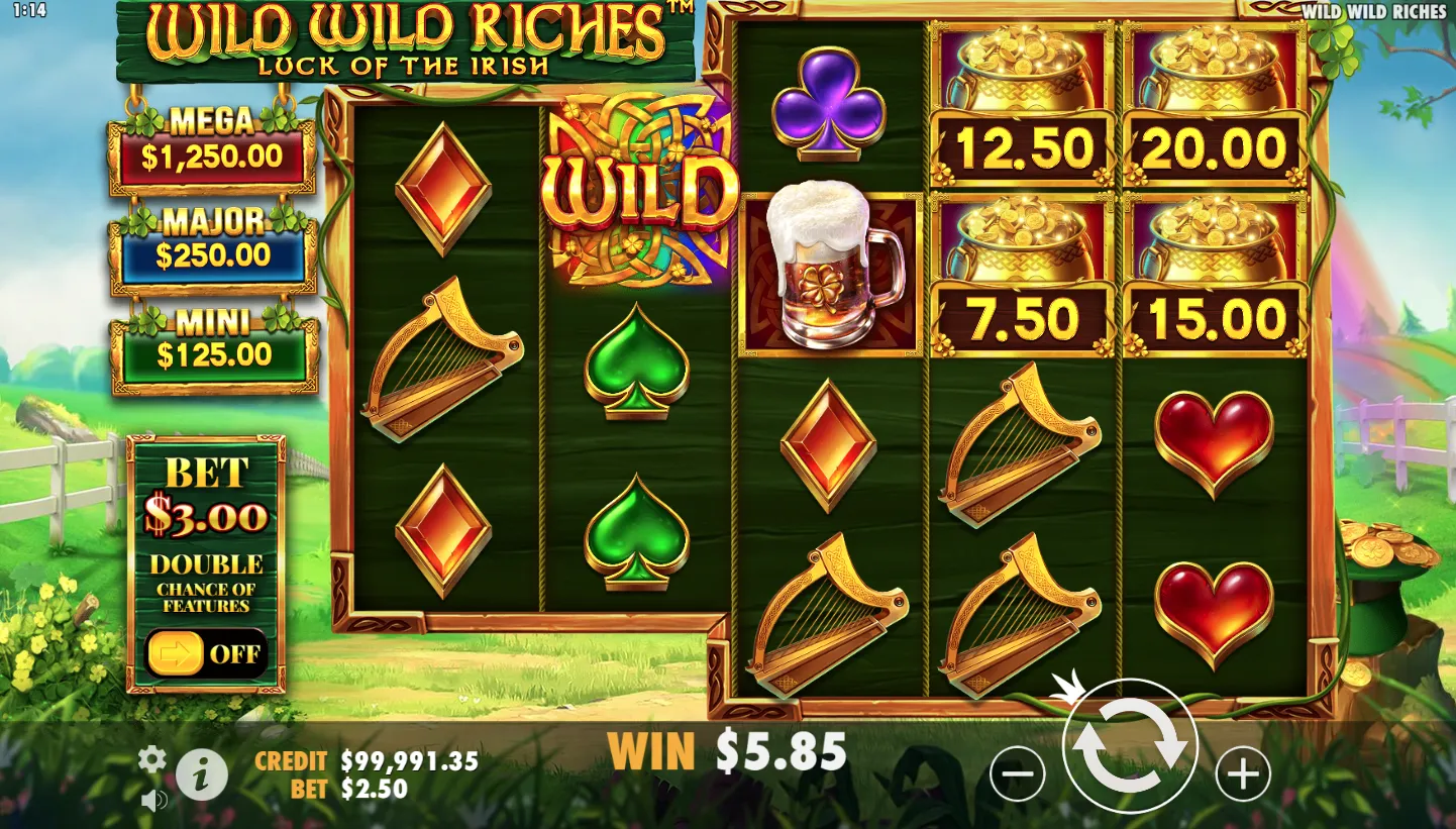 Wild Wild Riches screen 3