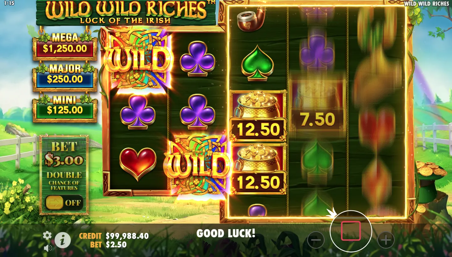 Wild Wild Riches screen 5