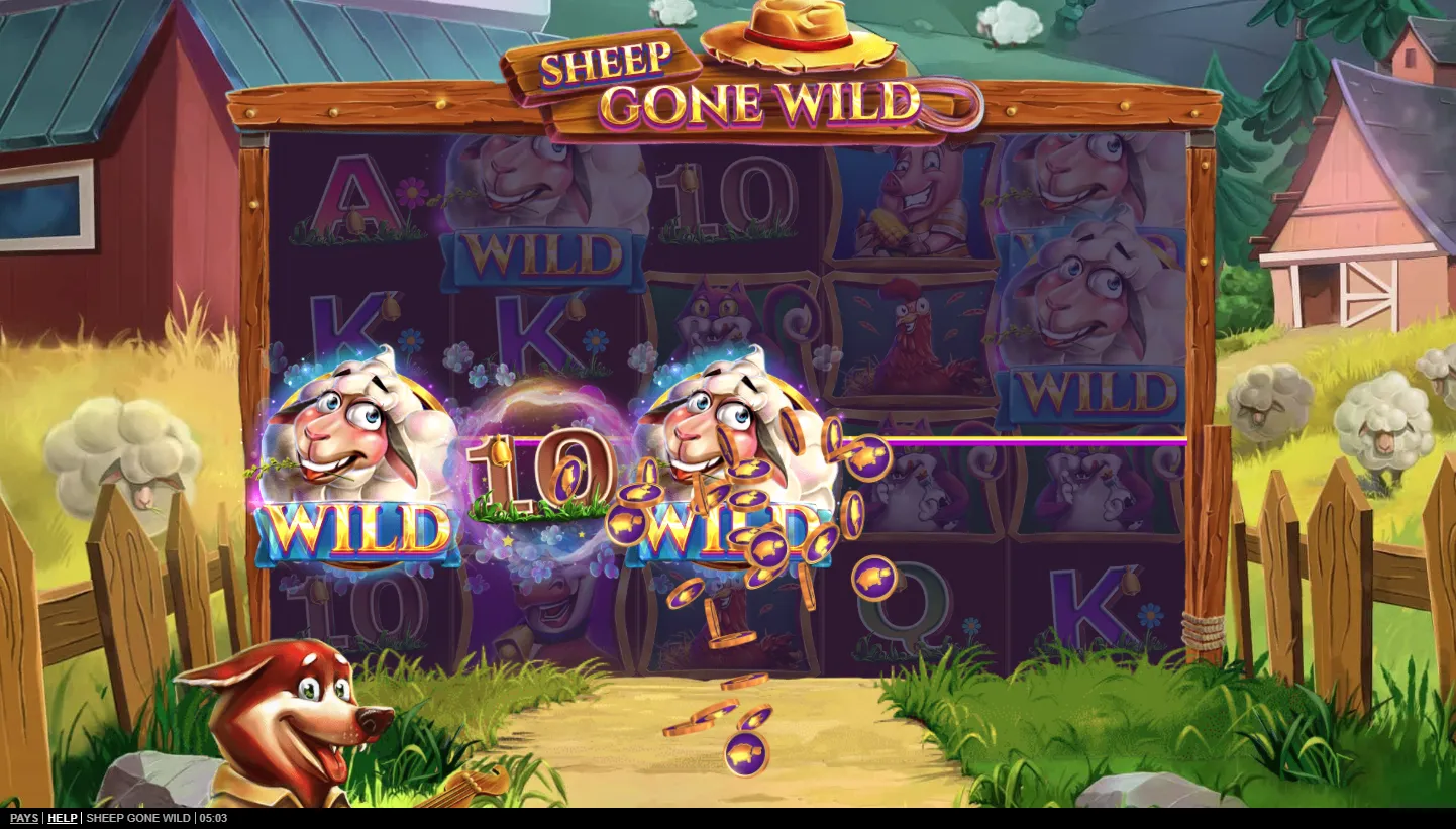 Sheep Gone Wild screen 4