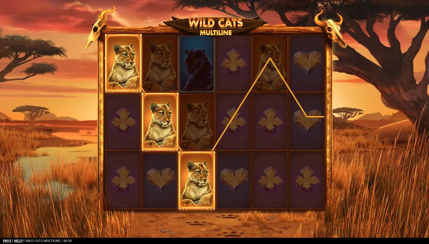 Wild Cats Multiline Demo Play 