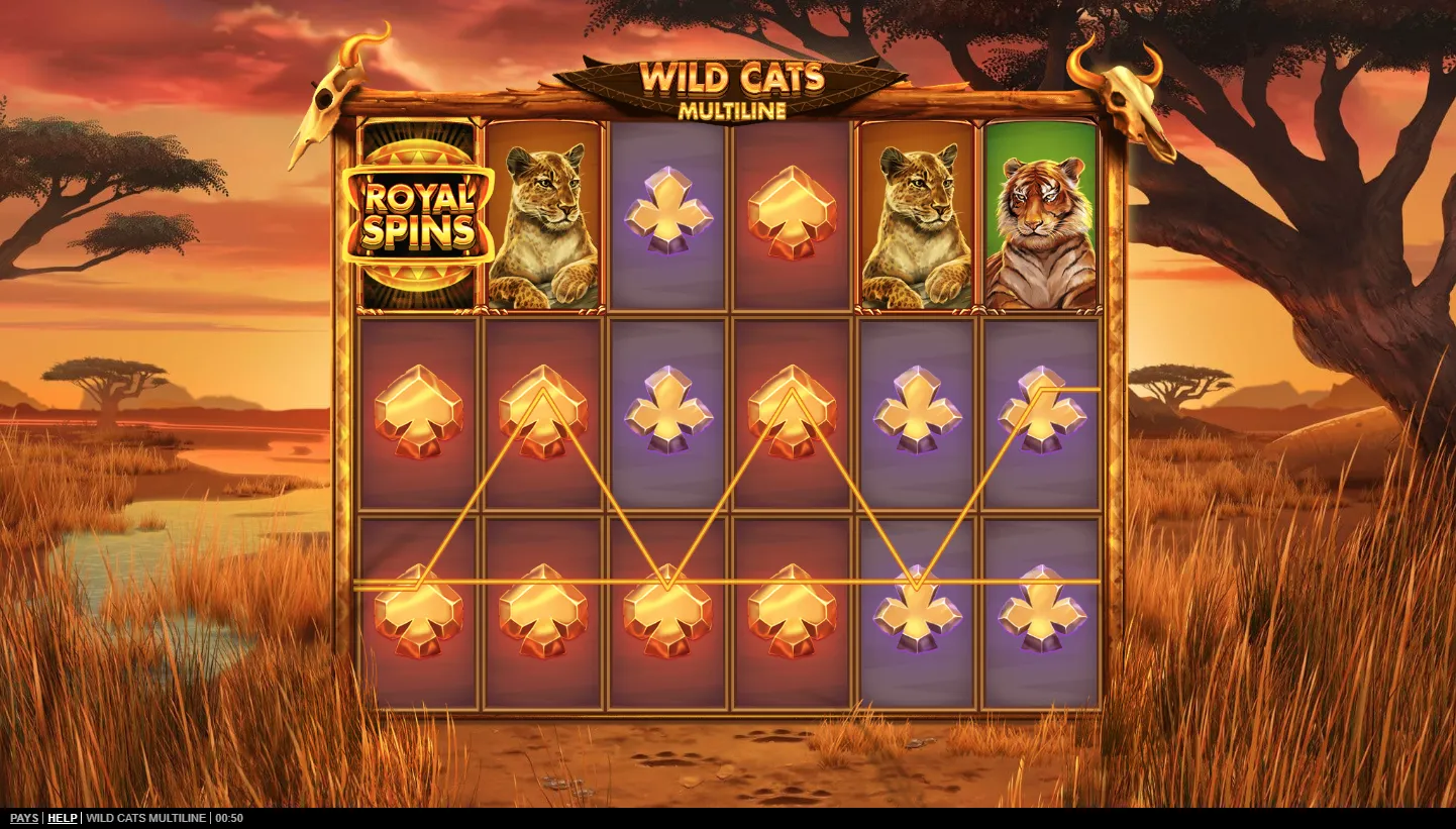 Wild Cats Multiline screen 4